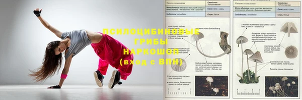 амф Алексеевка